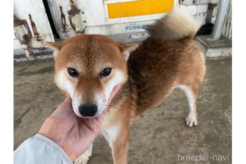 ちゃん1枚目