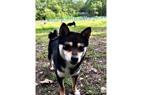 フィーカちゃん1枚目