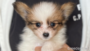 オンライン見学