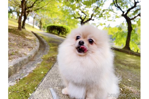 スイカちゃん1枚目