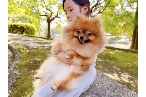 ナツメちゃん1枚目