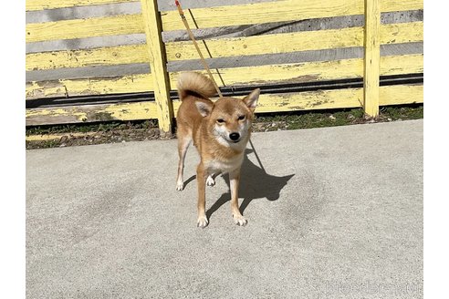 瑠音ちゃん1枚目