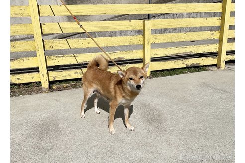 瑠音ちゃん1枚目