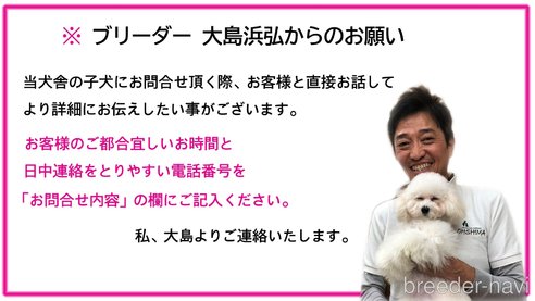 成約済の愛知県のティーカッププードル-273241の20枚目