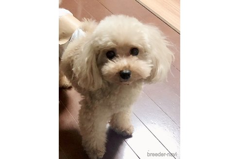 くん1枚目
