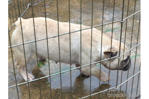 ヒメちゃん1枚目