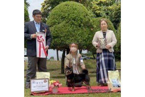 吉法師号号　遠州広瀬荘くん1枚目