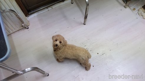 あみちゃん1枚目