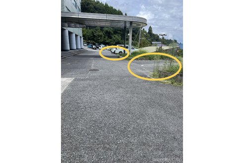 成約済の千葉県のタイニープードル-259548の3枚目
