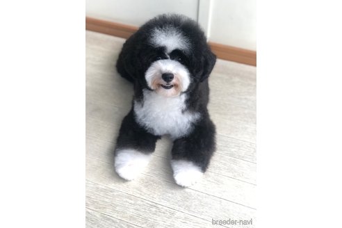 すずちゃん1枚目