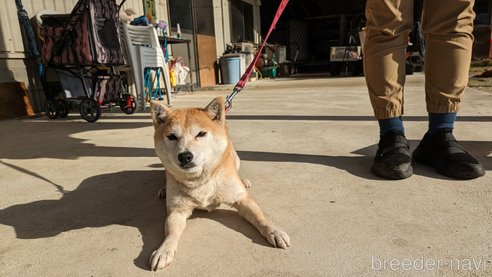 ゆずちゃん1枚目