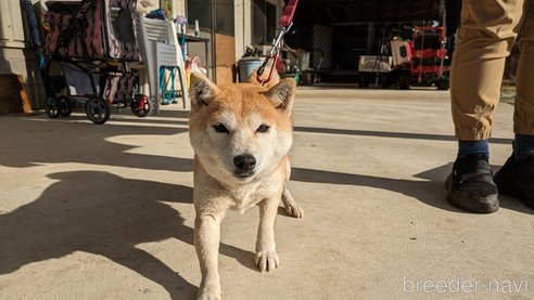 ゆずちゃん1枚目