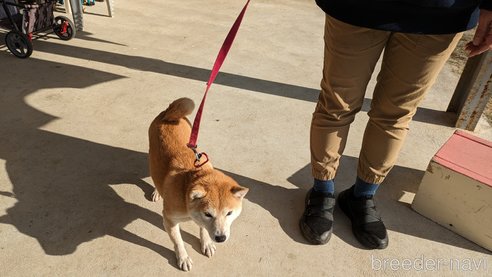 ゆずちゃん1枚目