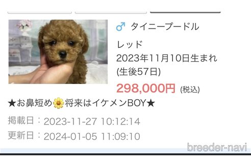 成約済の広島県のタイニープードル-278373の2枚目