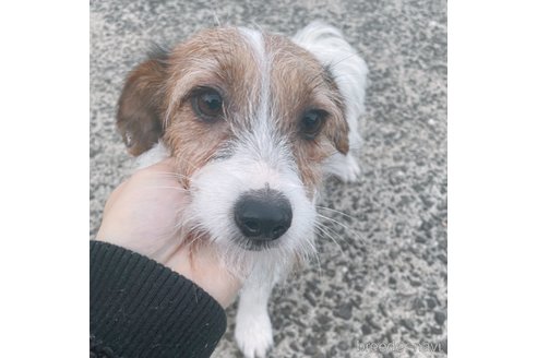 コアラちゃん1枚目