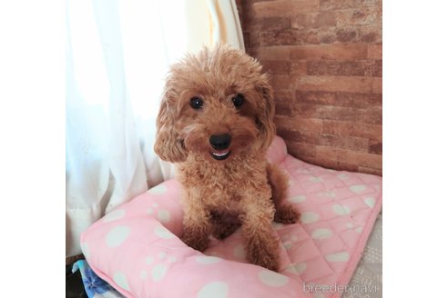 胡桃ちゃん1枚目