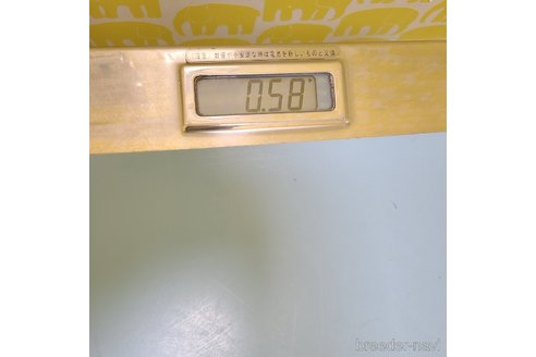 成約済の愛知県のヨークシャーテリア-288089の4枚目