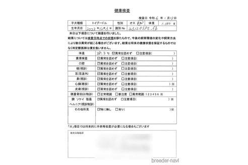 成約済の京都府のトイプードル-281229の2枚目