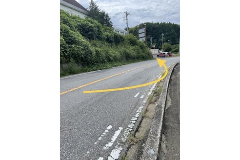 成約済の千葉県のタイニープードル-288466の5枚目