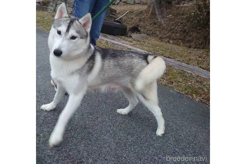 あかねちゃん1枚目