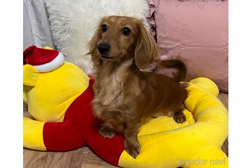 ミントちゃん1枚目