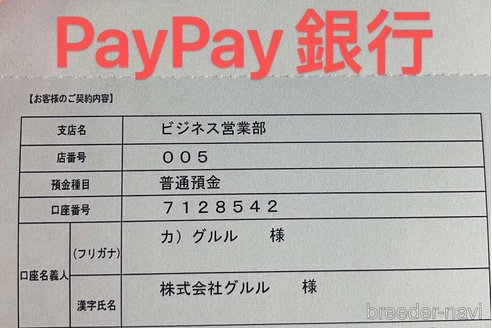 成約済の栃木県のヨークシャーテリア-289321の4枚目