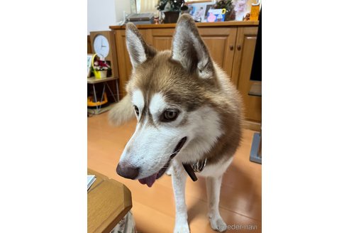 アイくん1枚目