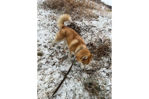 アイくん1枚目