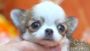 オンライン見学
