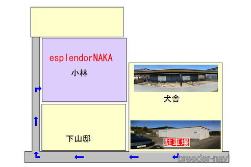 成約済の茨城県のパグ-296618の2枚目