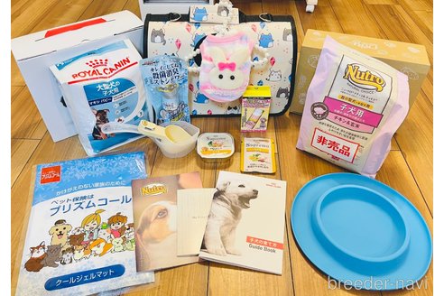 成約済の愛知県のウェルシュコーギーペンブローク-295986の8枚目