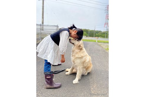 ミルクちゃん1枚目