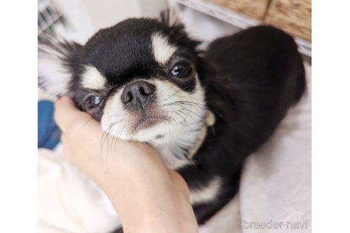 あんちゃん1枚目