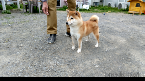 かやちゃん1枚目