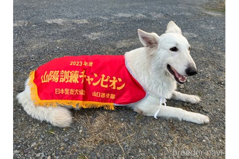 ビビちゃん1枚目