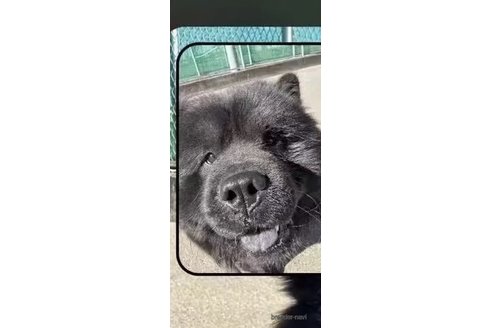 まるくん1枚目