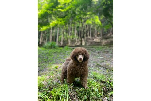 ボニータちゃん1枚目