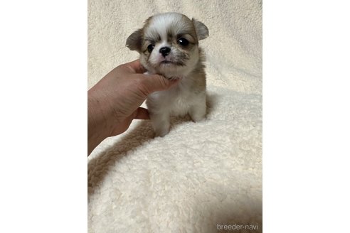くん1枚目