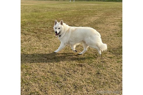 くん1枚目