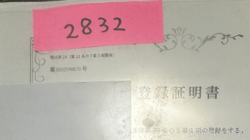 成約済の北海道のキャバプー:キャバリア×トイプードル-303304の4枚目