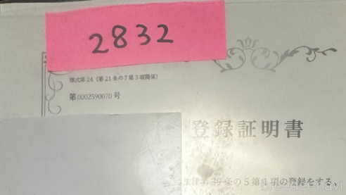 販売中の北海道のキャバプー:キャバリア×トイプードル-303304の4枚目