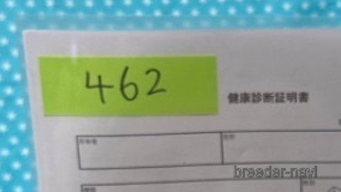 成約済の北海道のトイプードル-303307の2枚目