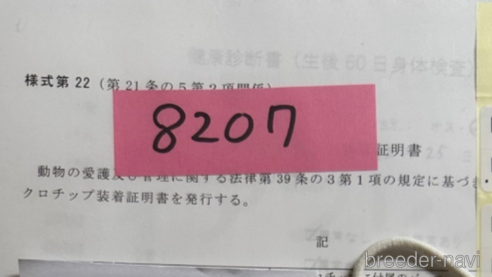 成約済の北海道のミックス犬-303368の3枚目