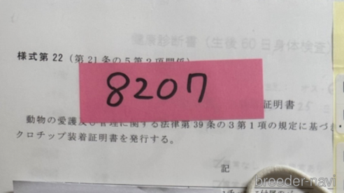 販売中の北海道のミックス犬-303368の2枚目