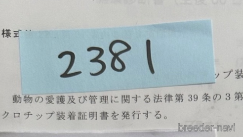 成約済の北海道のミックス犬-303369の2枚目