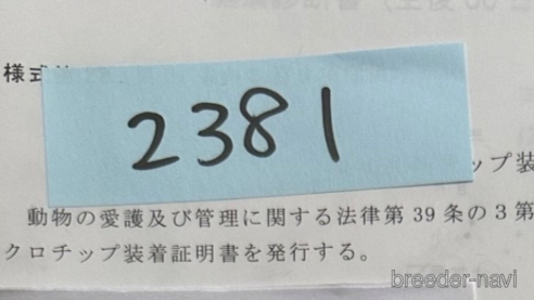 販売中の北海道のミックス犬-303369の2枚目