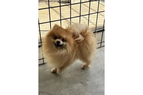 熊熊くん1枚目