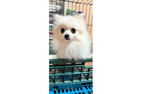 おむすび🍙ちゃん1枚目