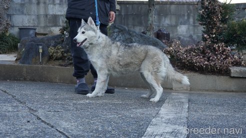 ちゃん1枚目