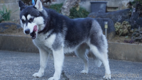 ちゃん1枚目